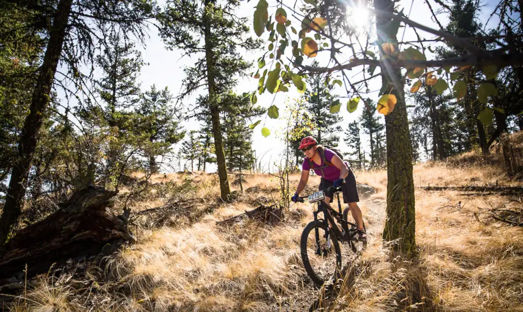 Position cycliste VTT marathon montée et descente équilibrée