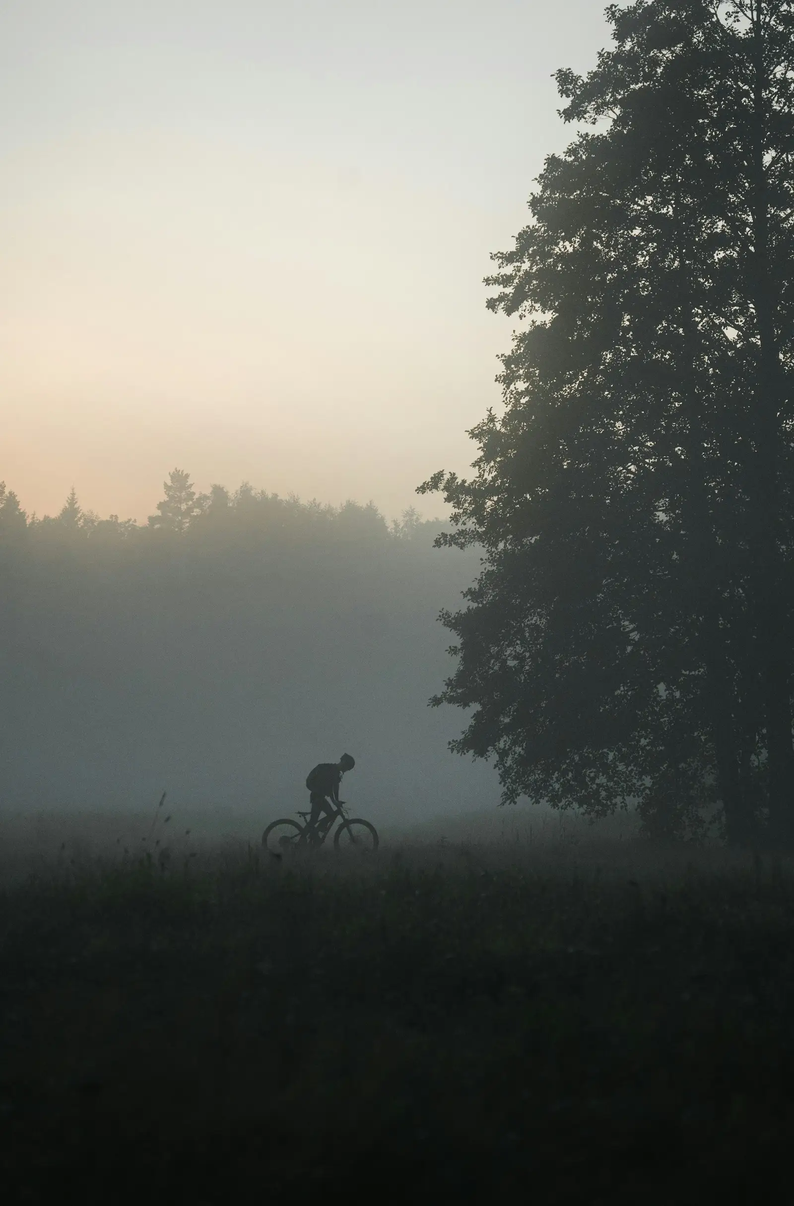 Cycliste au lever du jour dans une forêt brumeuse : départ long et gestion du carburant.